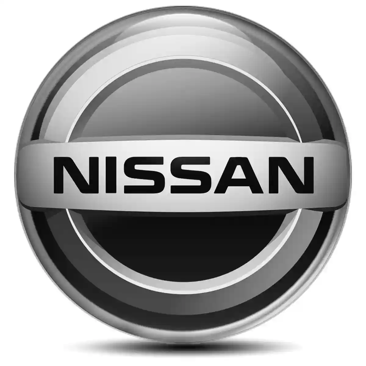 Nissan Domed Emblem Superior Craft