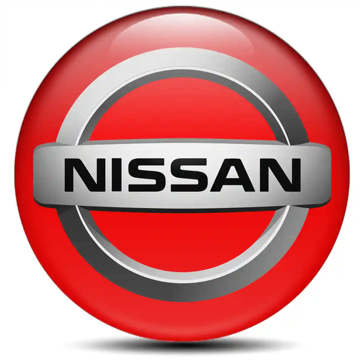 Nissan Domed Sticker Sleek Style