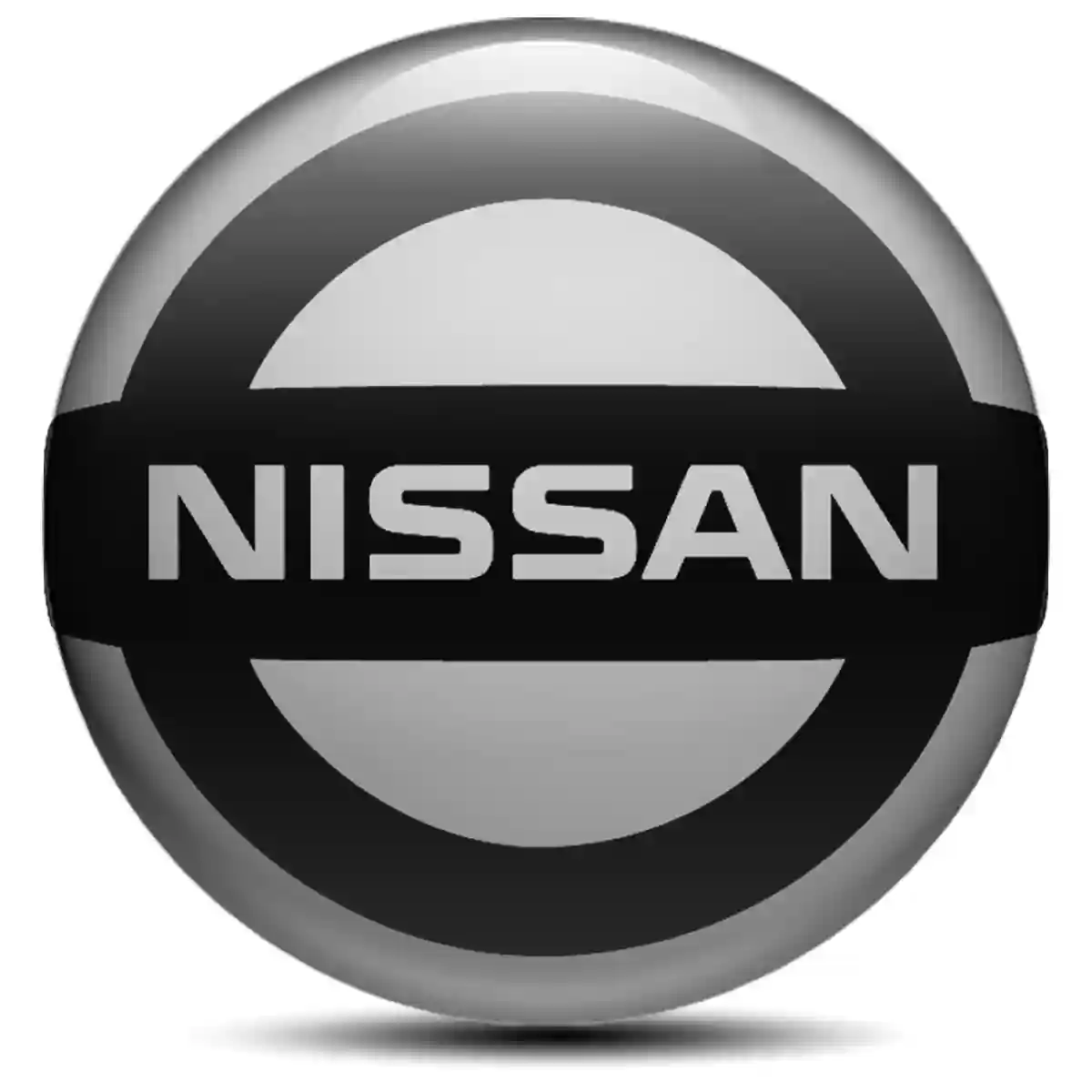 Nissan Epoxy Sticker Elite Finish