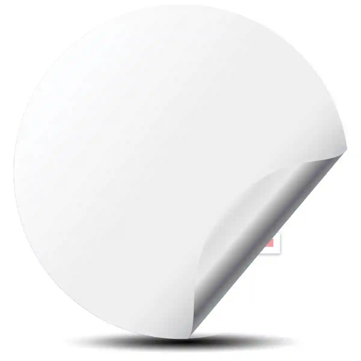 Nissan GTR Domed Sticker Sleek Style