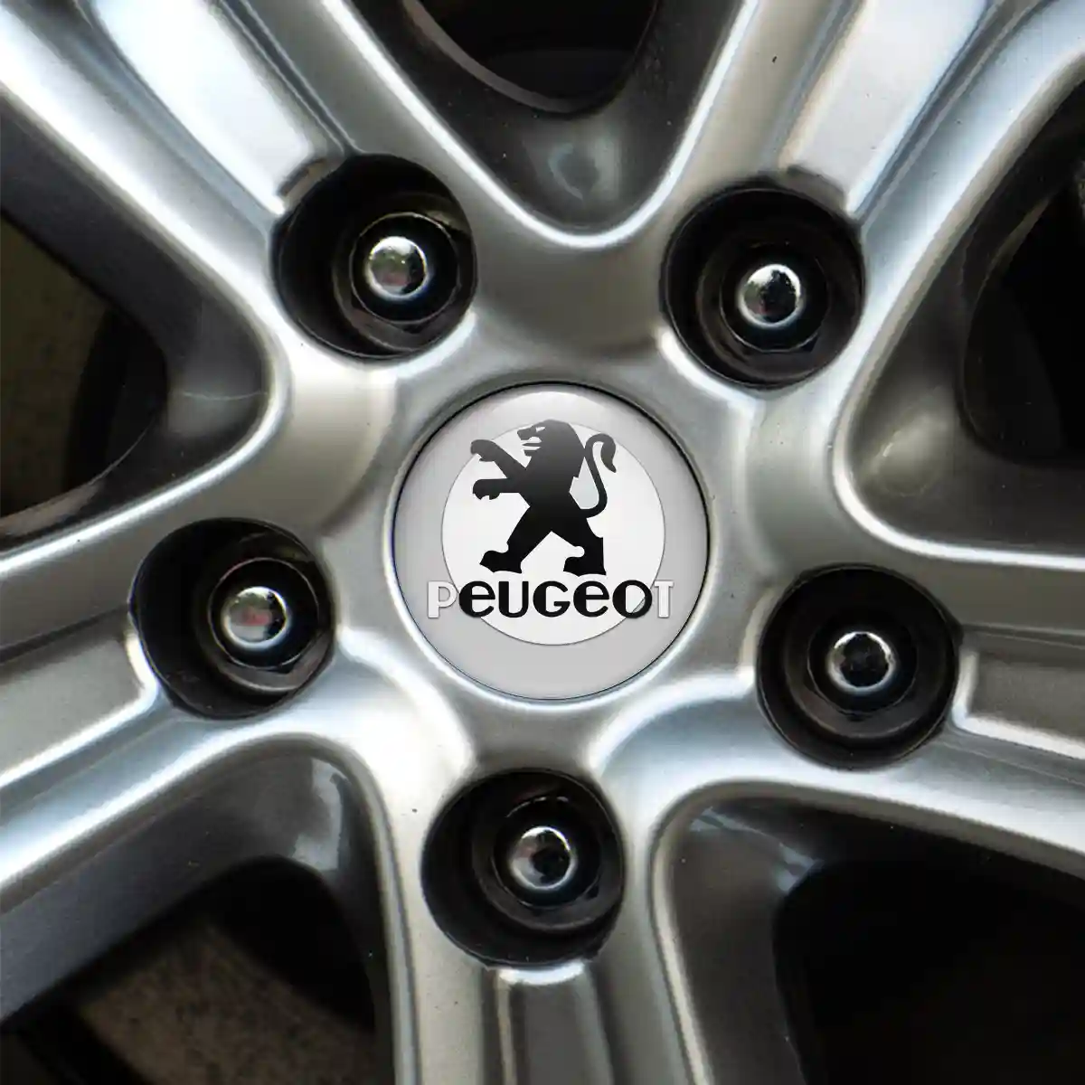 Peugeot Domed Emblem Sleek Style