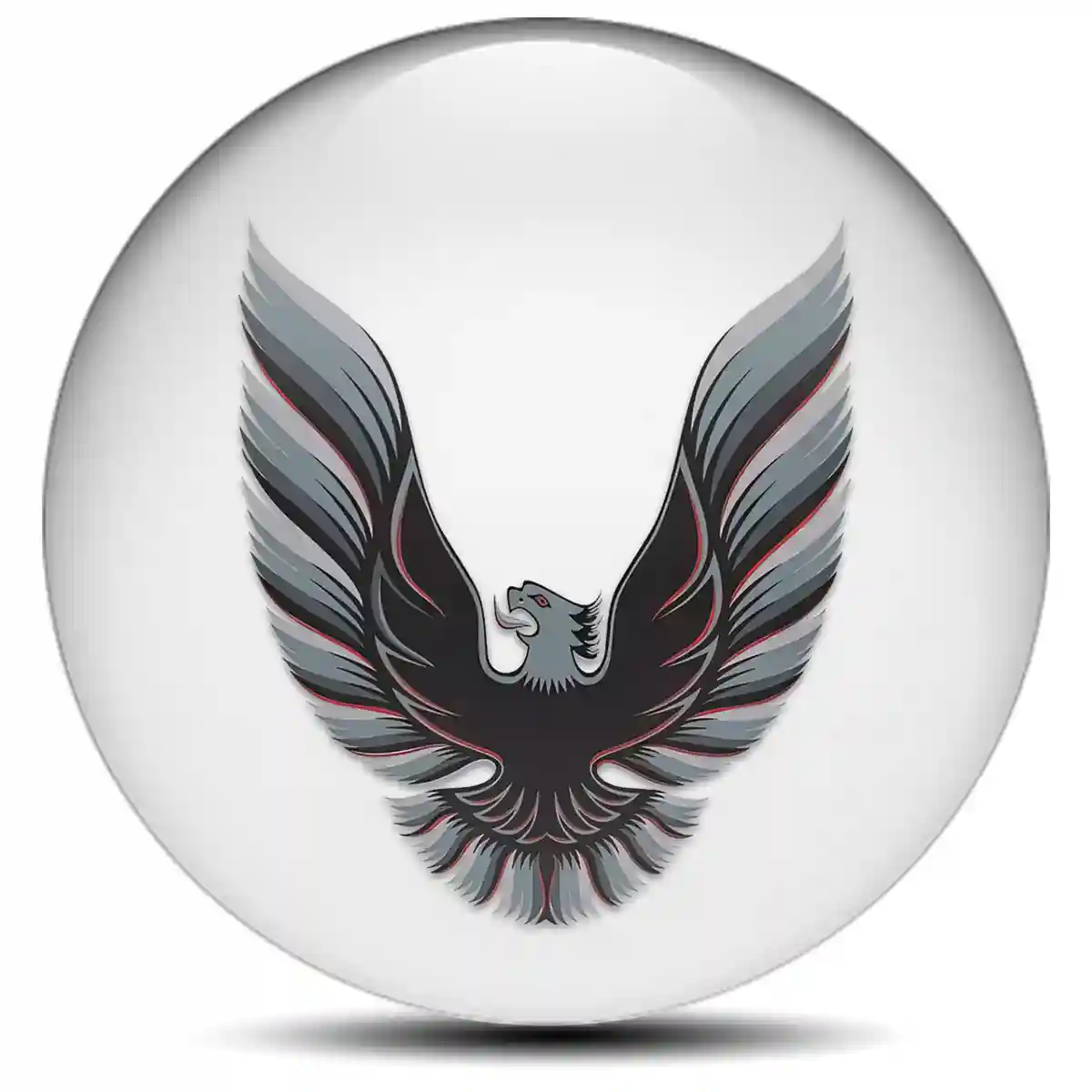 Pontiac Badge Emblems Center Cap Superior Craft