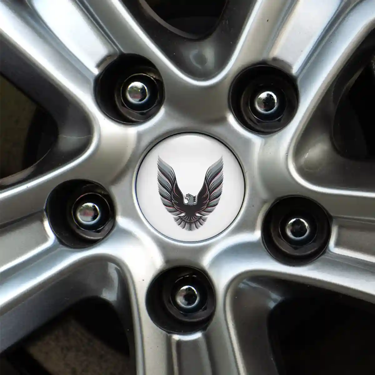 Pontiac Badge Emblems Center Cap Superior Craft