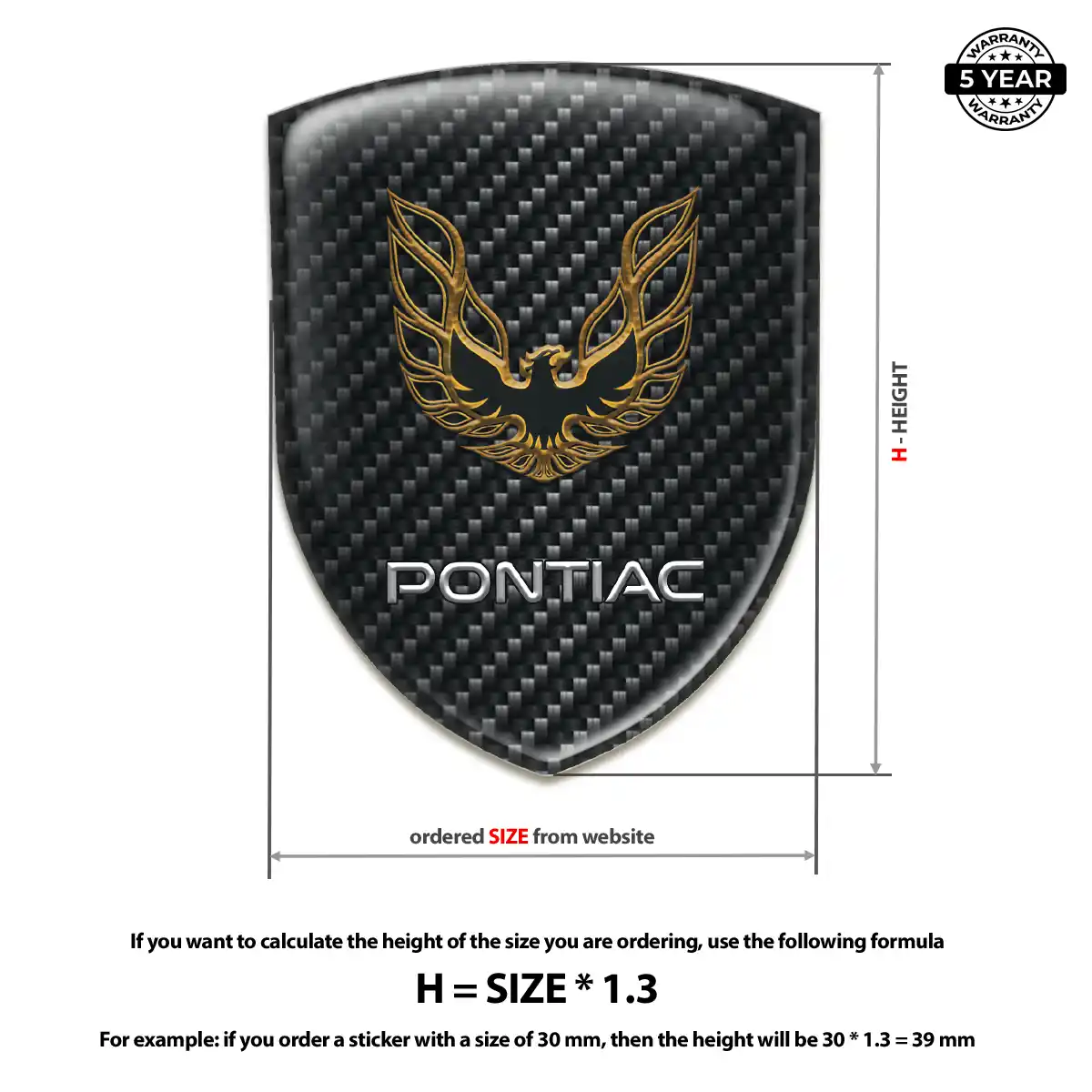 Pontiac Resin Emblem Sticker Sleek Style