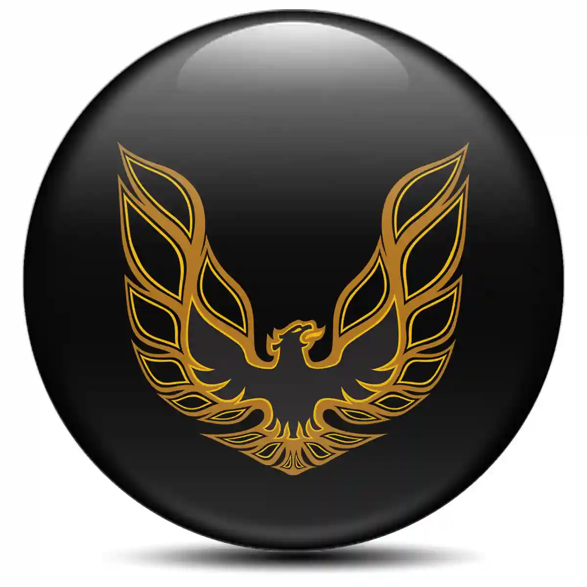Pontiac Silicone Emblem Sleek Style
