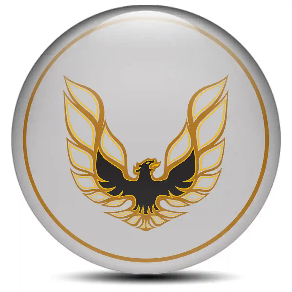 Pontiac Sticker Epoxy 3D Gel Elite Finish