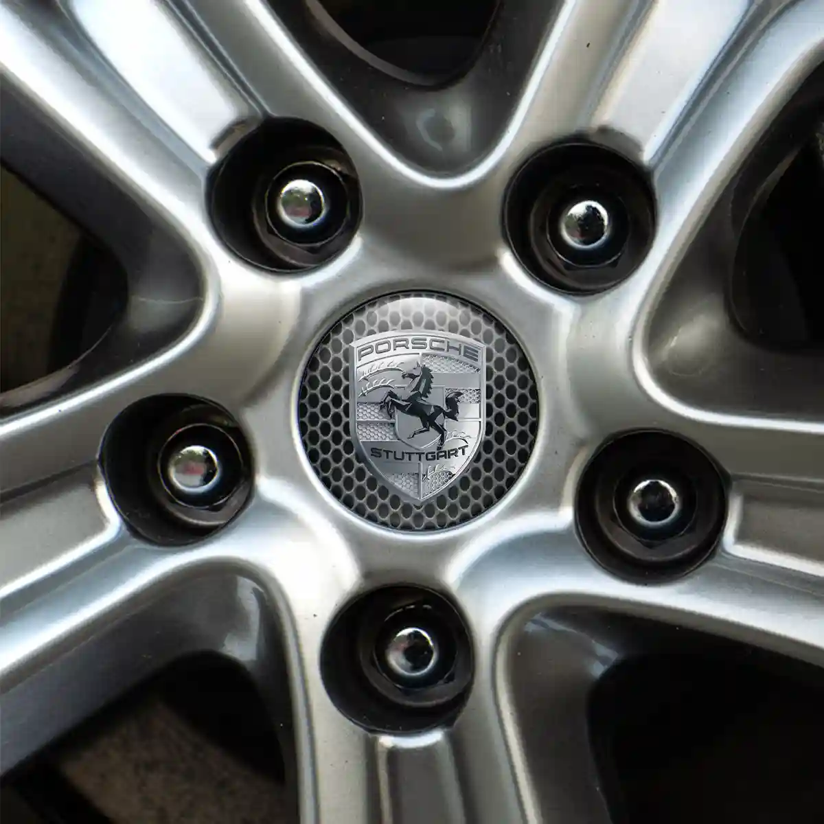 Porsche Logo Emblem Branded Line