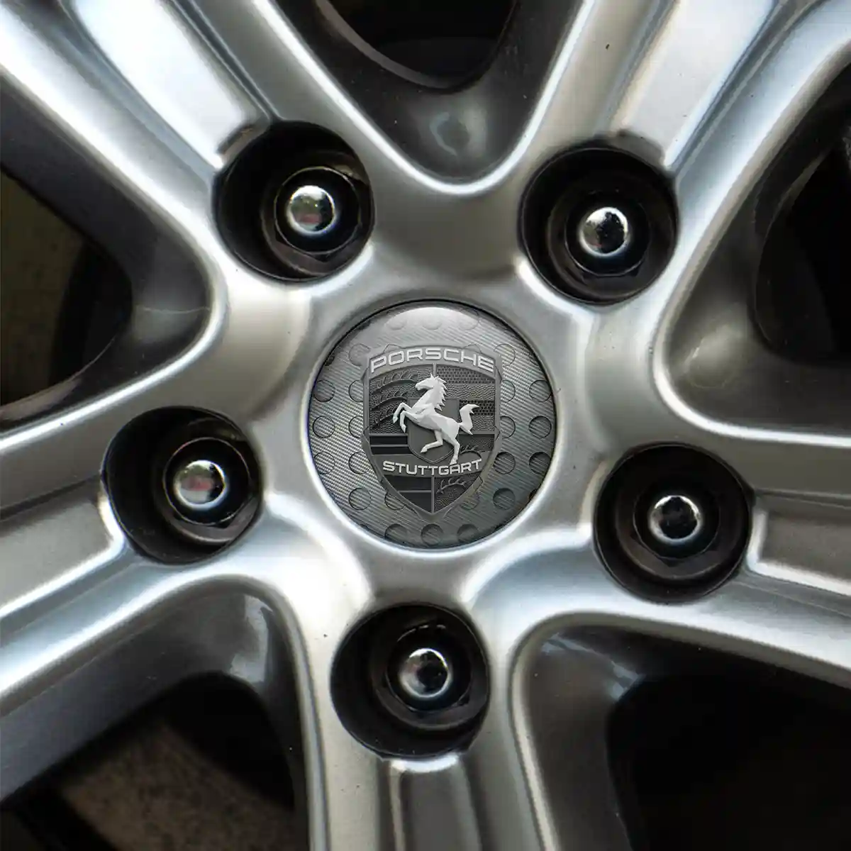Porsche Logo Emblem Opulent Line