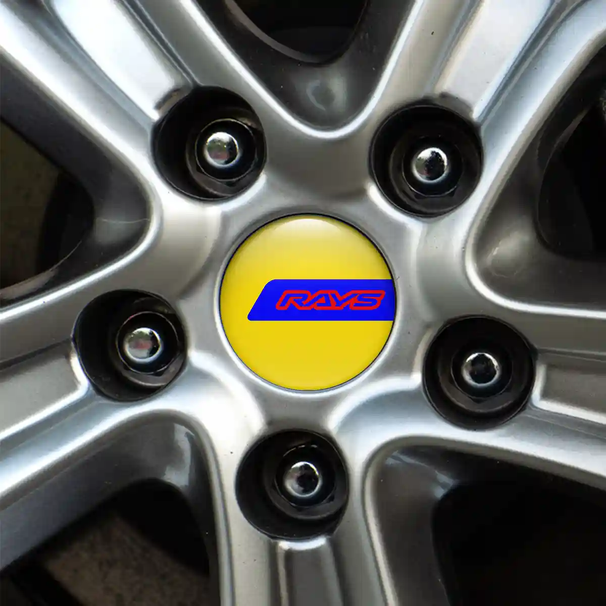 RAYS Domed Emblem Self-Adhesive Prime Quality