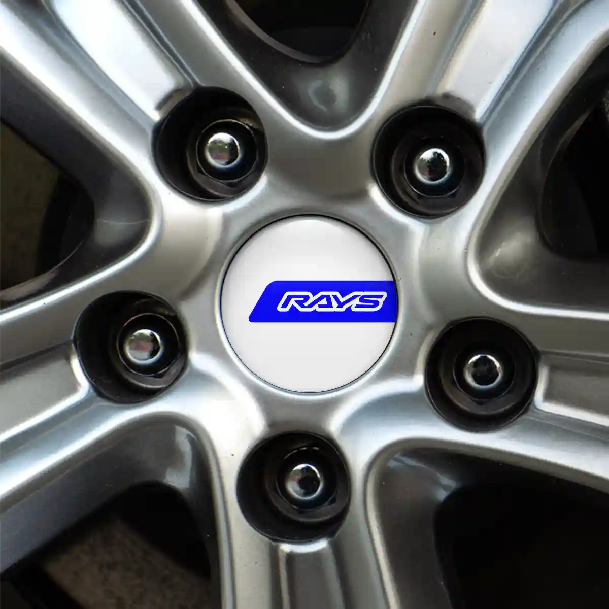 RAYS Emblem Badge Self-Adhesive Prime Quality
