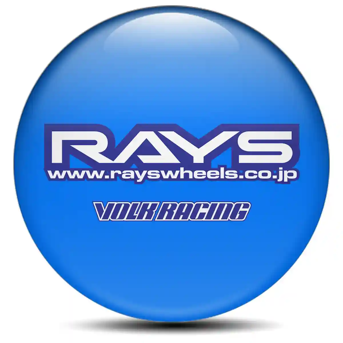 RAYS Emblem Badge Self-Adhesive Refined Design