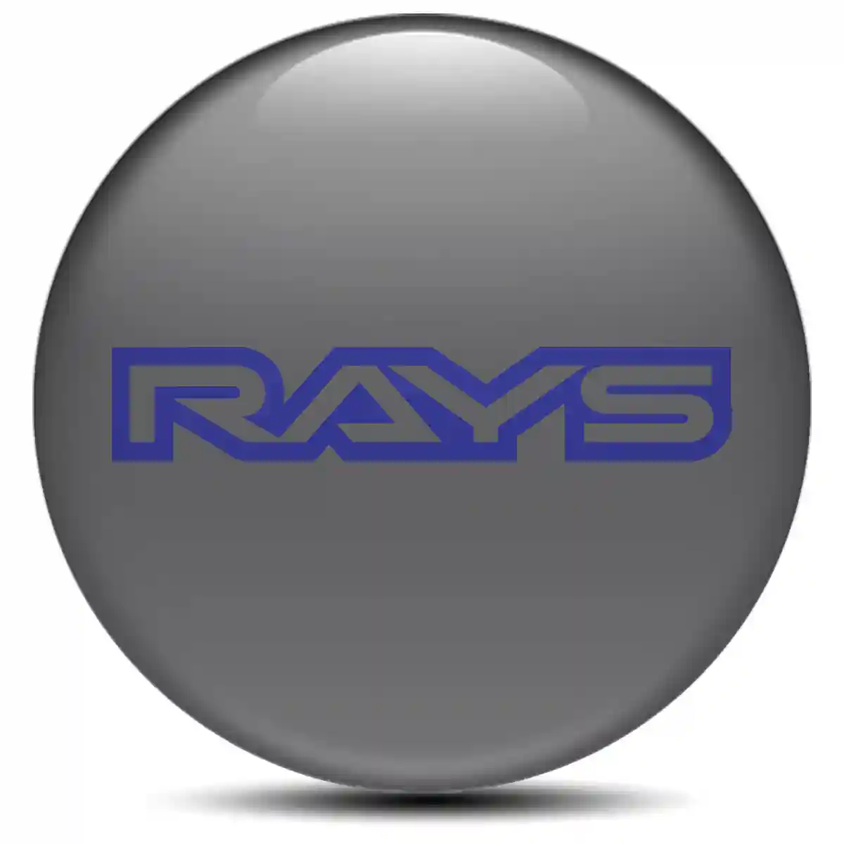 RAYS Emblem Badge Self-Adhesive Sleek Style