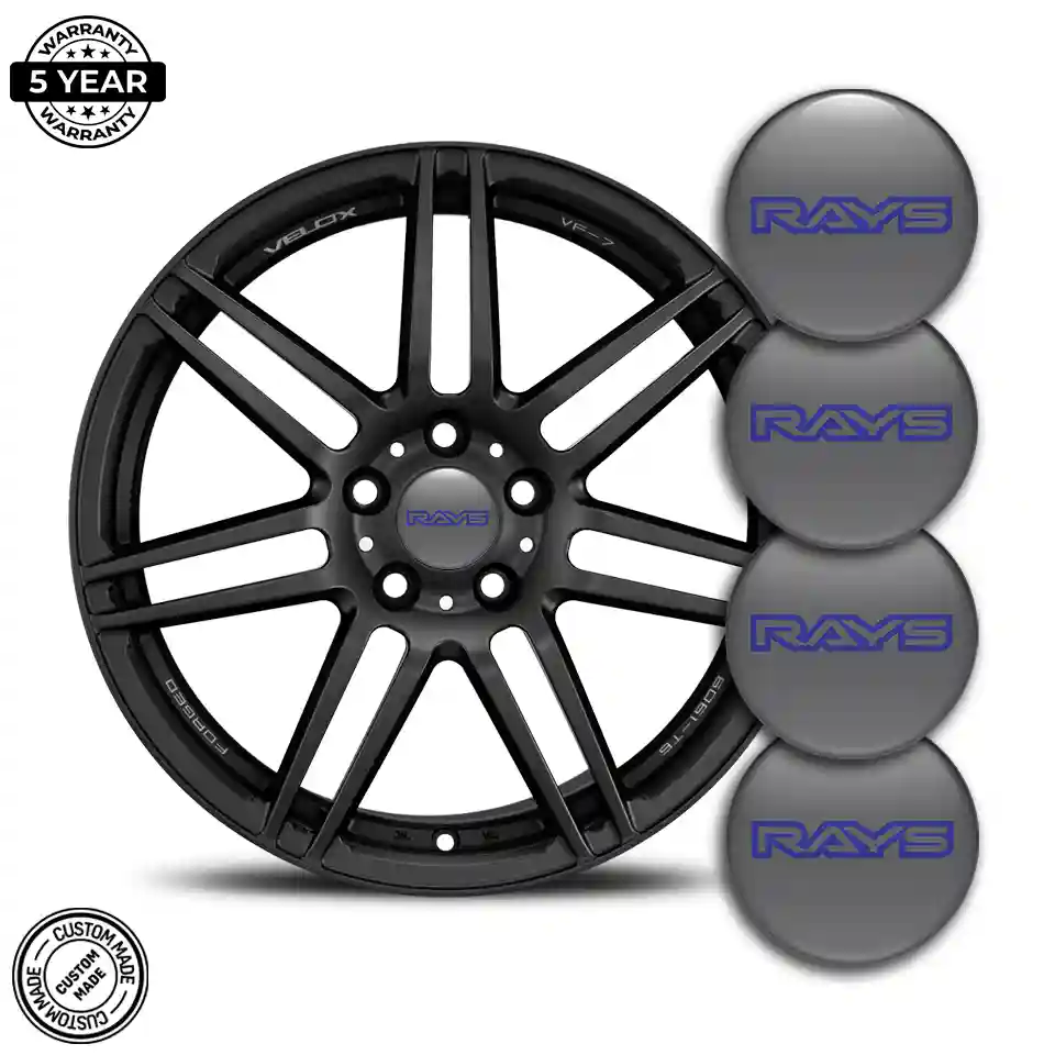 RAYS Emblem Badge Self-Adhesive Sleek Style
