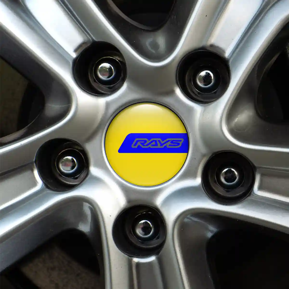 RAYS Emblem Badge Sleek Style