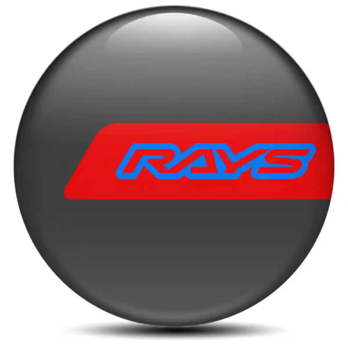 RAYS Logo Emblem Prime Quality