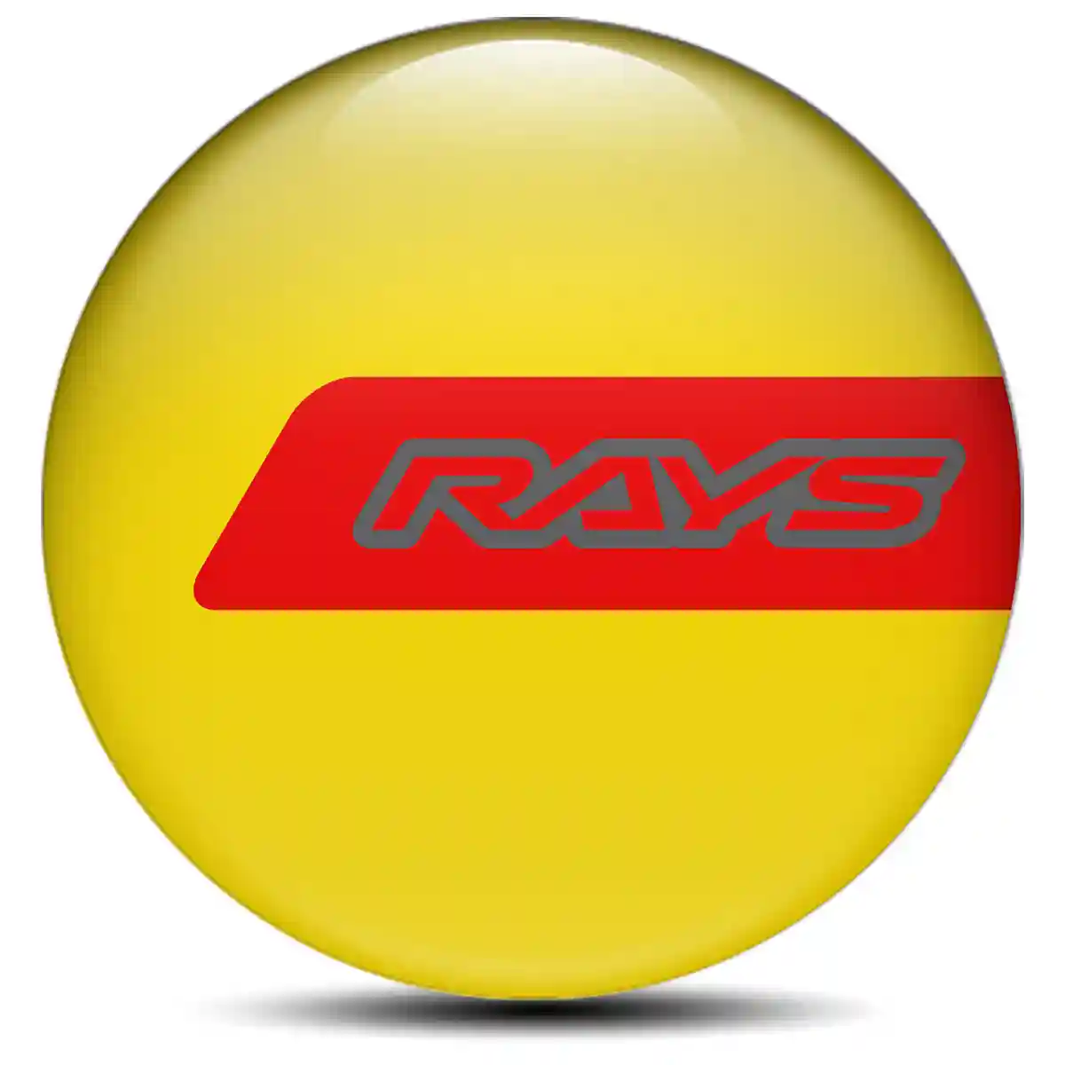 RAYS Logo Emblem Sleek Style