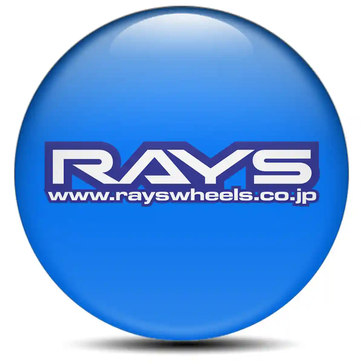 RAYS Logo Emblem Superior Craft