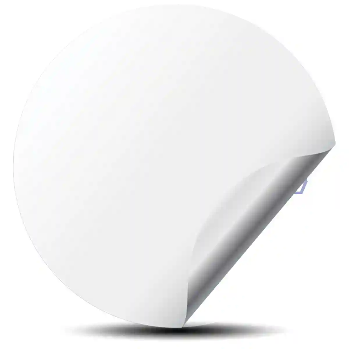 RAYS Logo Silicone Emblem Sleek Style