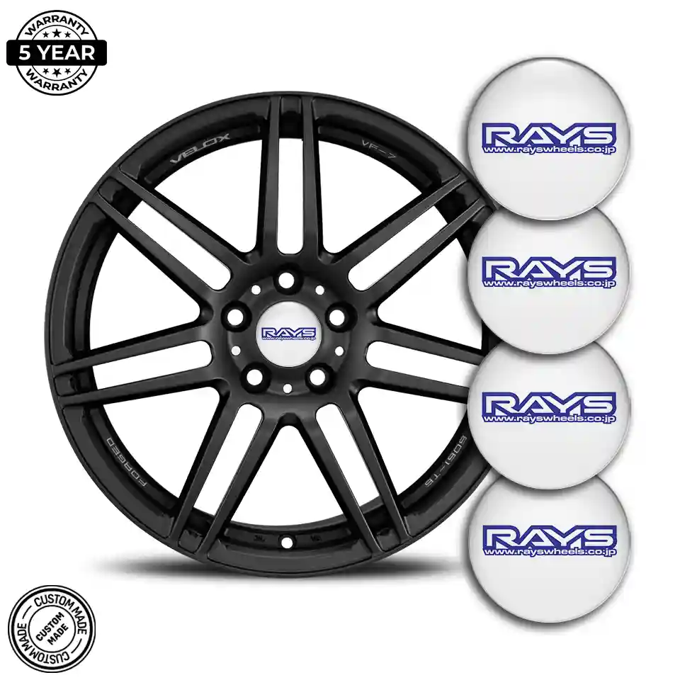 RAYS Logo Silicone Emblem Sleek Style