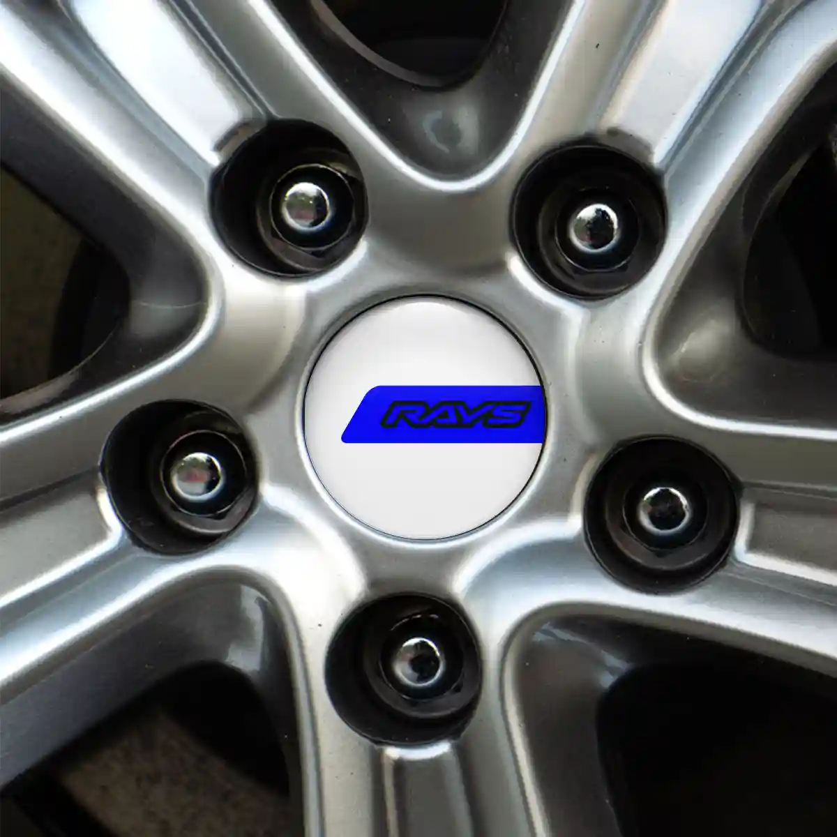 RAYS Logo Silicone Sticker Prime Quality