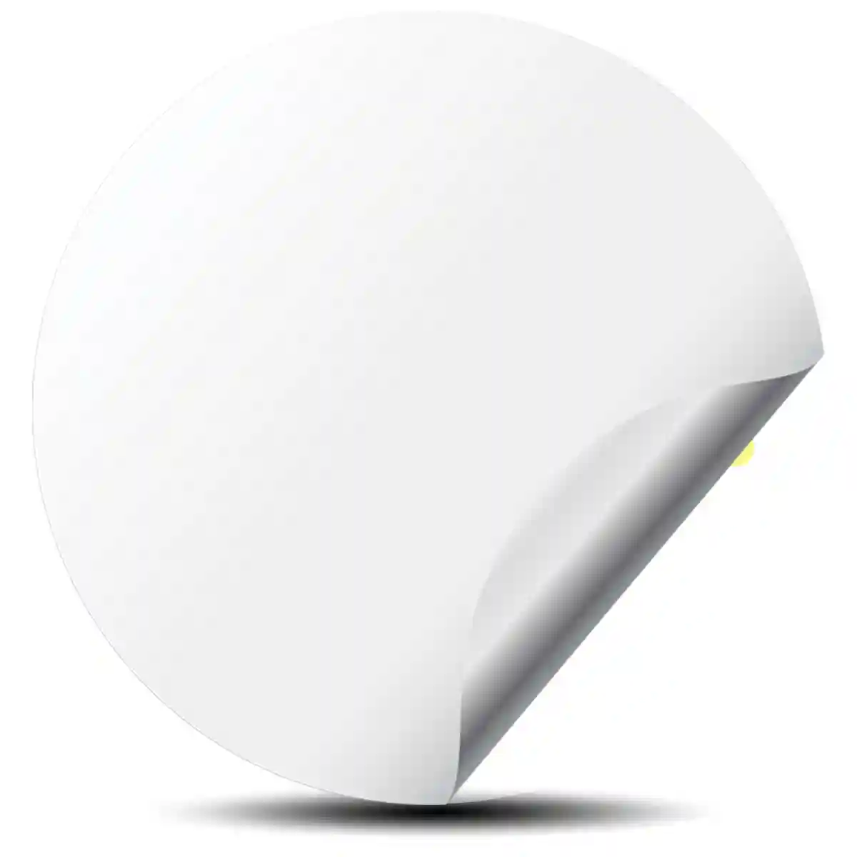 RAYS Logo Silicone Sticker Refined Design