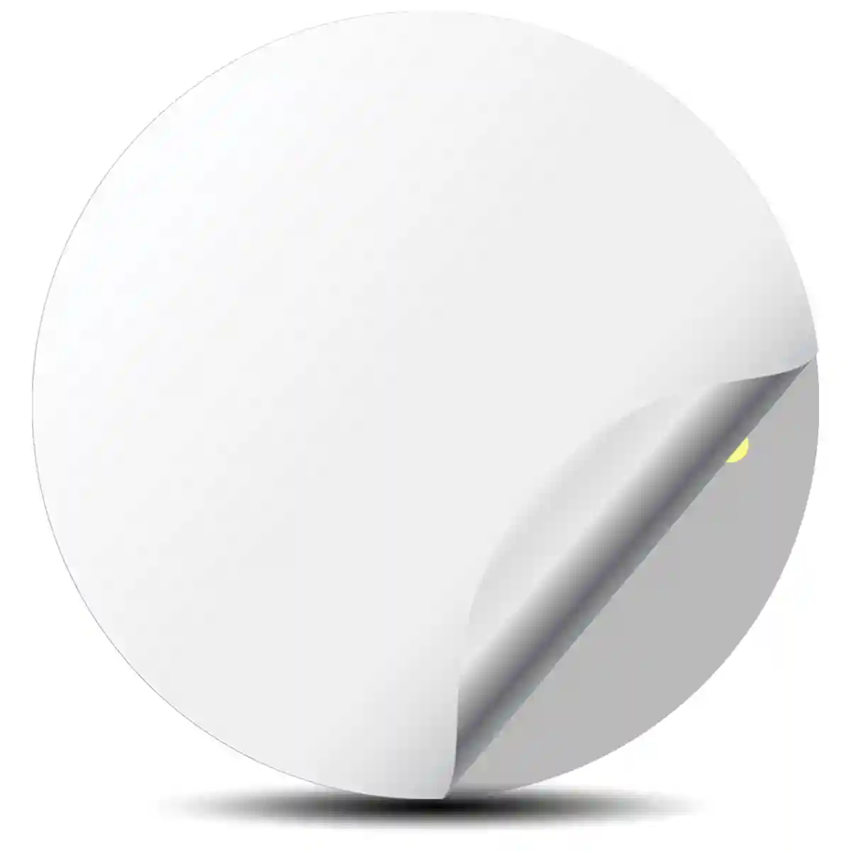 RAYS Logo Sticker Sleek Style