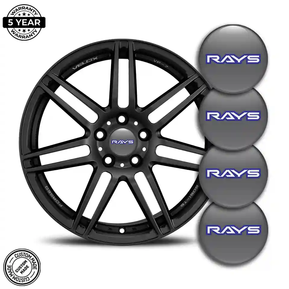 RAYS Logo Sticker Superior Craft