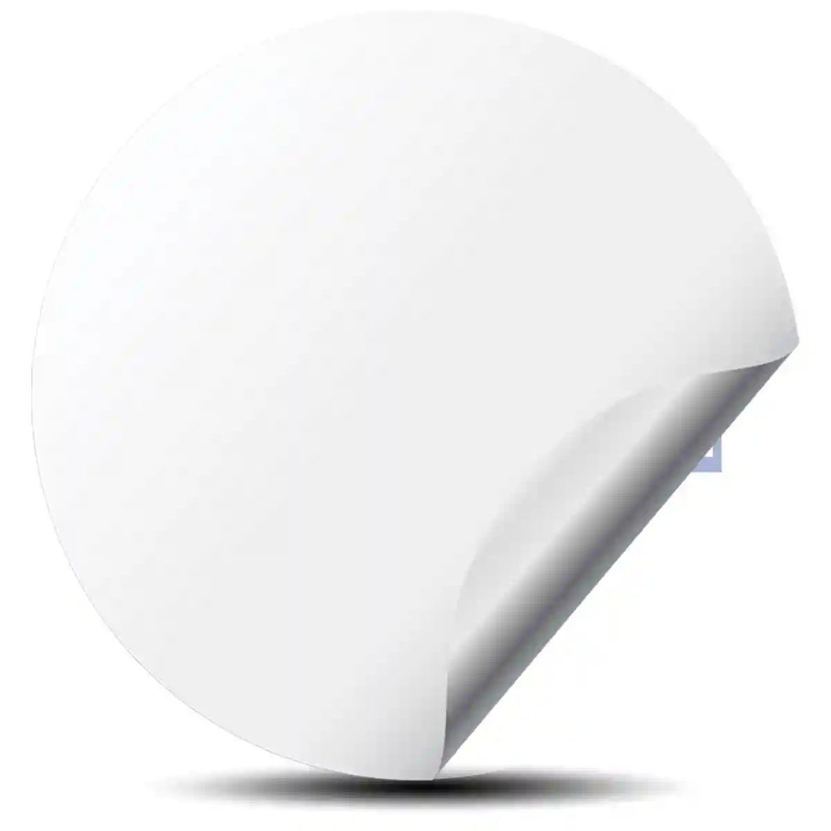 RAYS Wheel Emblem Self-Adhesive Elite Finish
