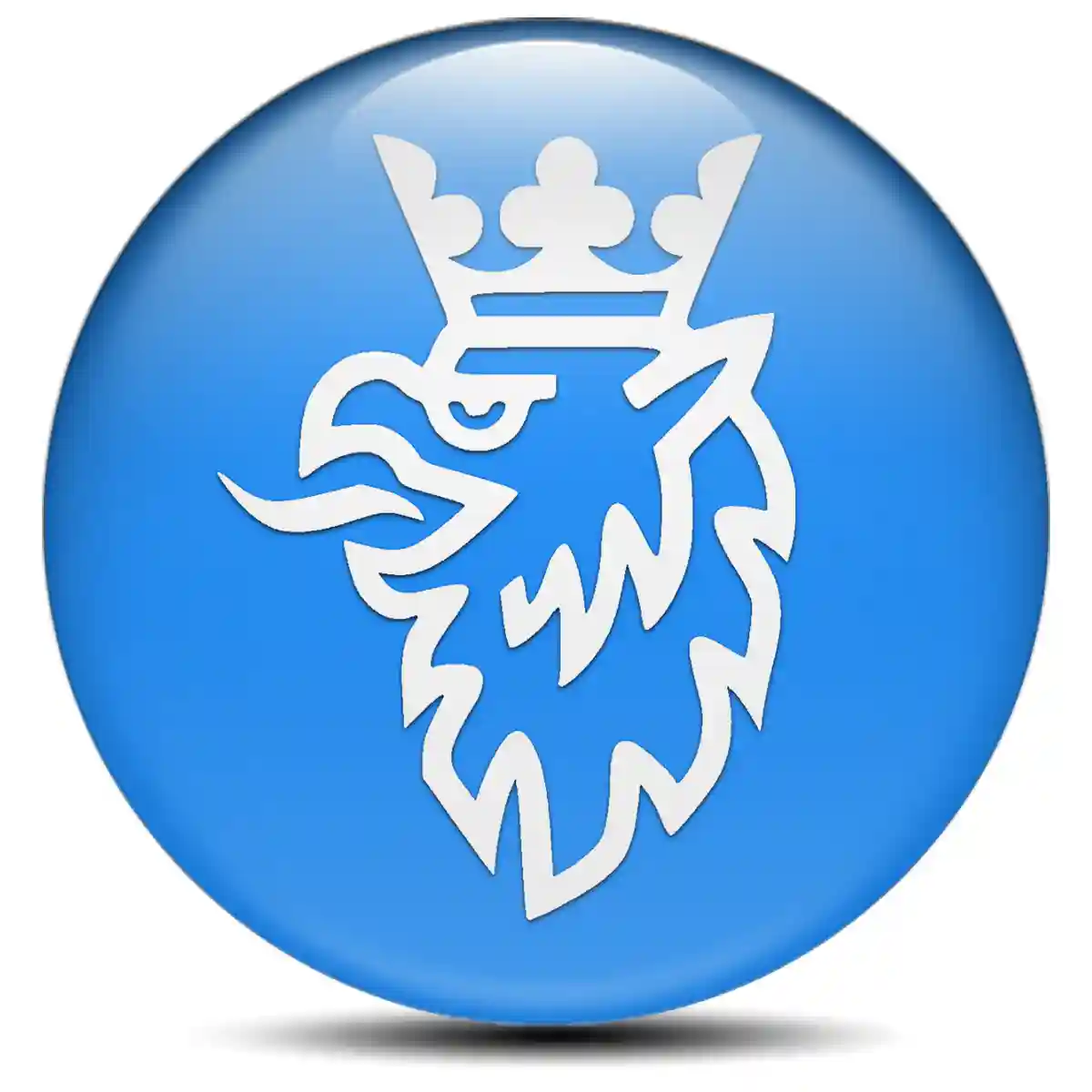 SAAB Sticker Epoxy 3D Gel Superior Craft