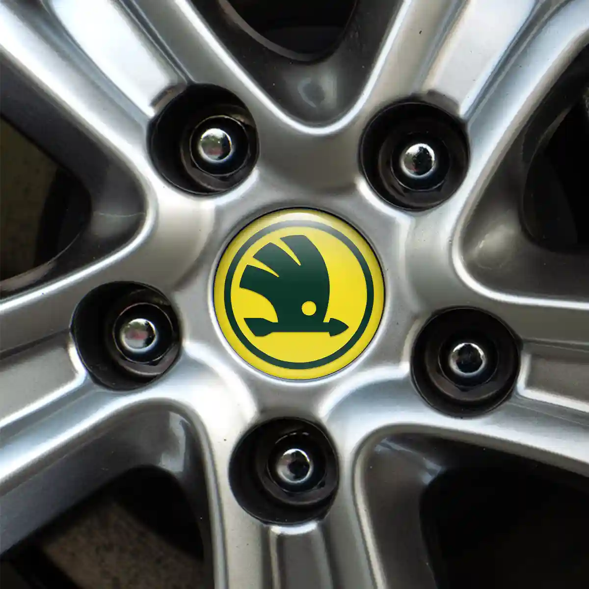 Skoda Domed Emblem Stylish Design