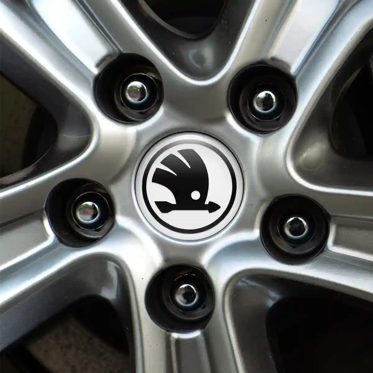 Skoda Logo Emblem Self-Adhesive High Quality
