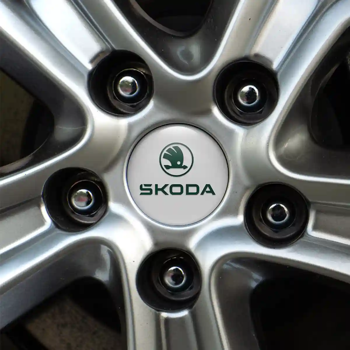 Skoda Silicone Emblem Premium Edition