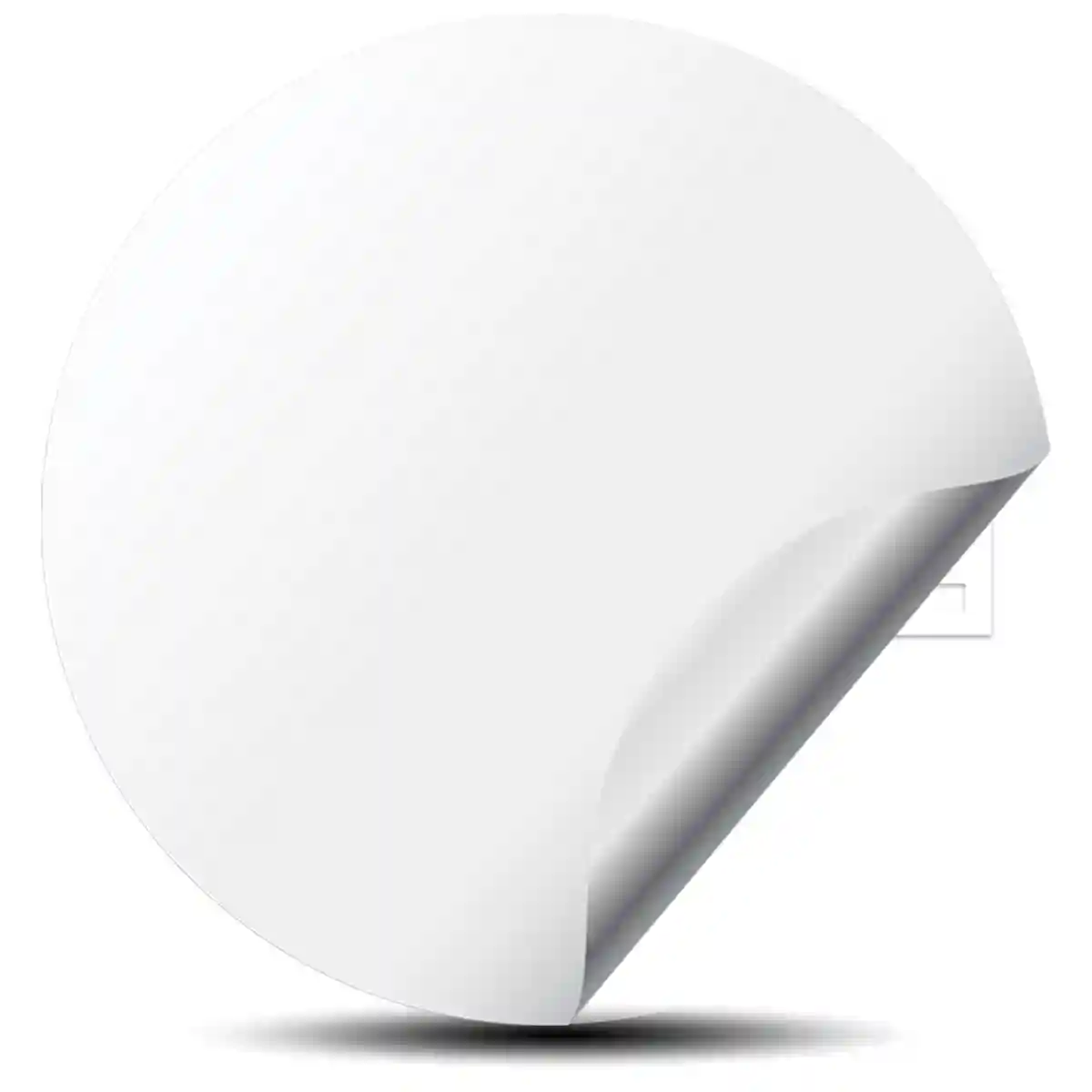Sparco Domed Sticker Elite Finish