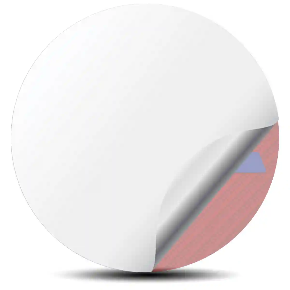 Sparco Logo Emblem Sleek Style