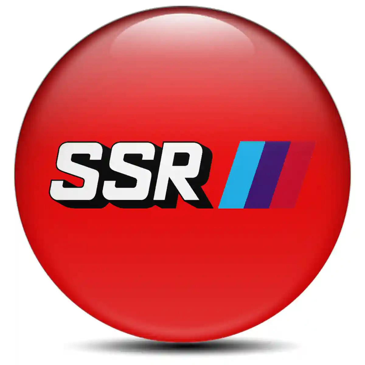 SSR Sticker Epoxy 3D Gel Elite Finish