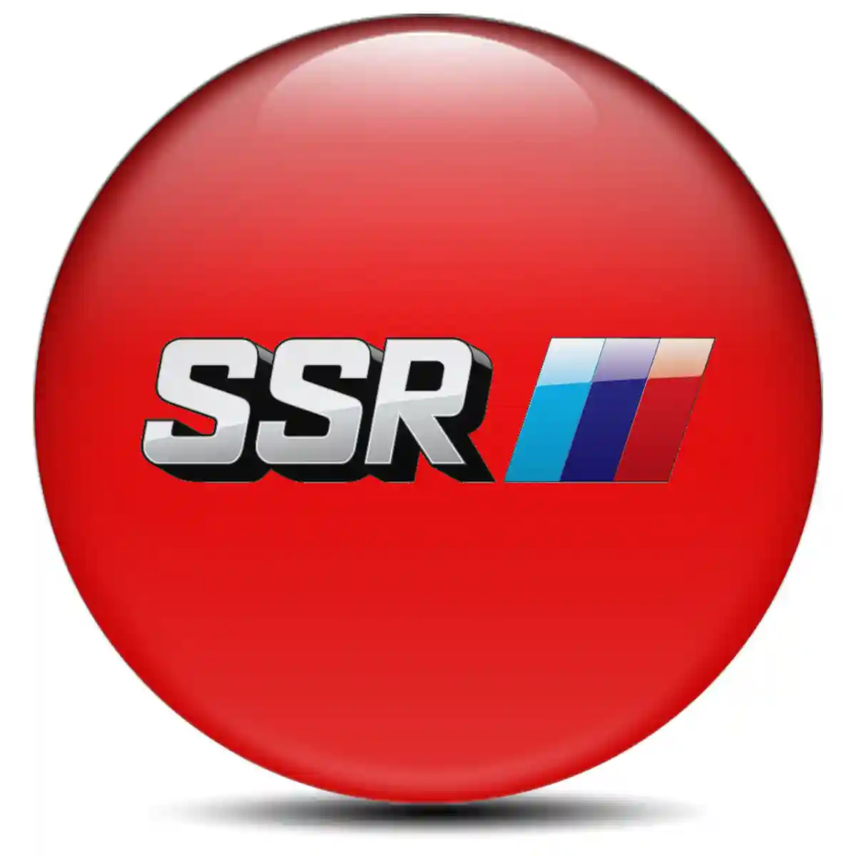 SSR Sticker Epoxy 3D Gel Sleek Style