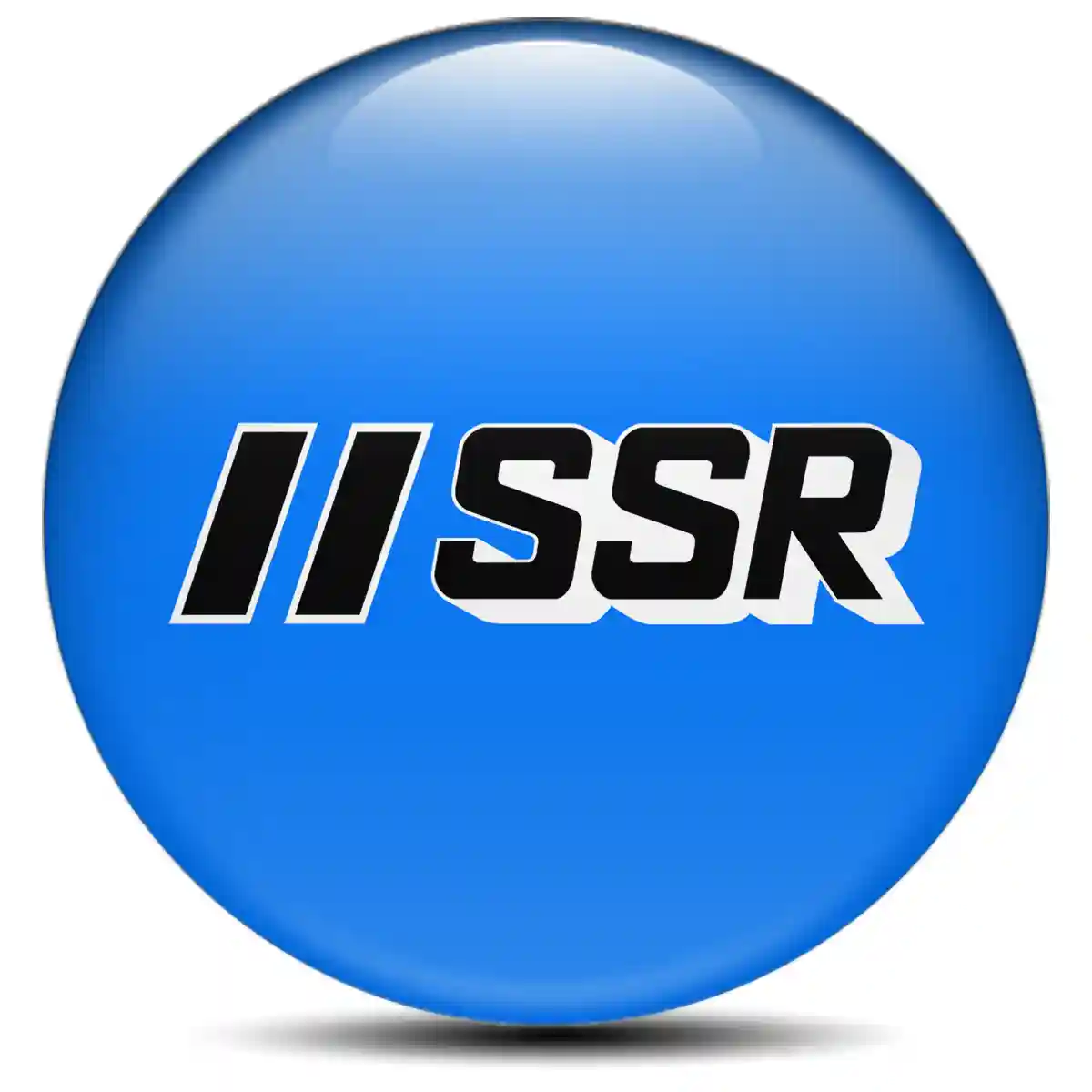 SSR Wheel Emblems Sleek Style