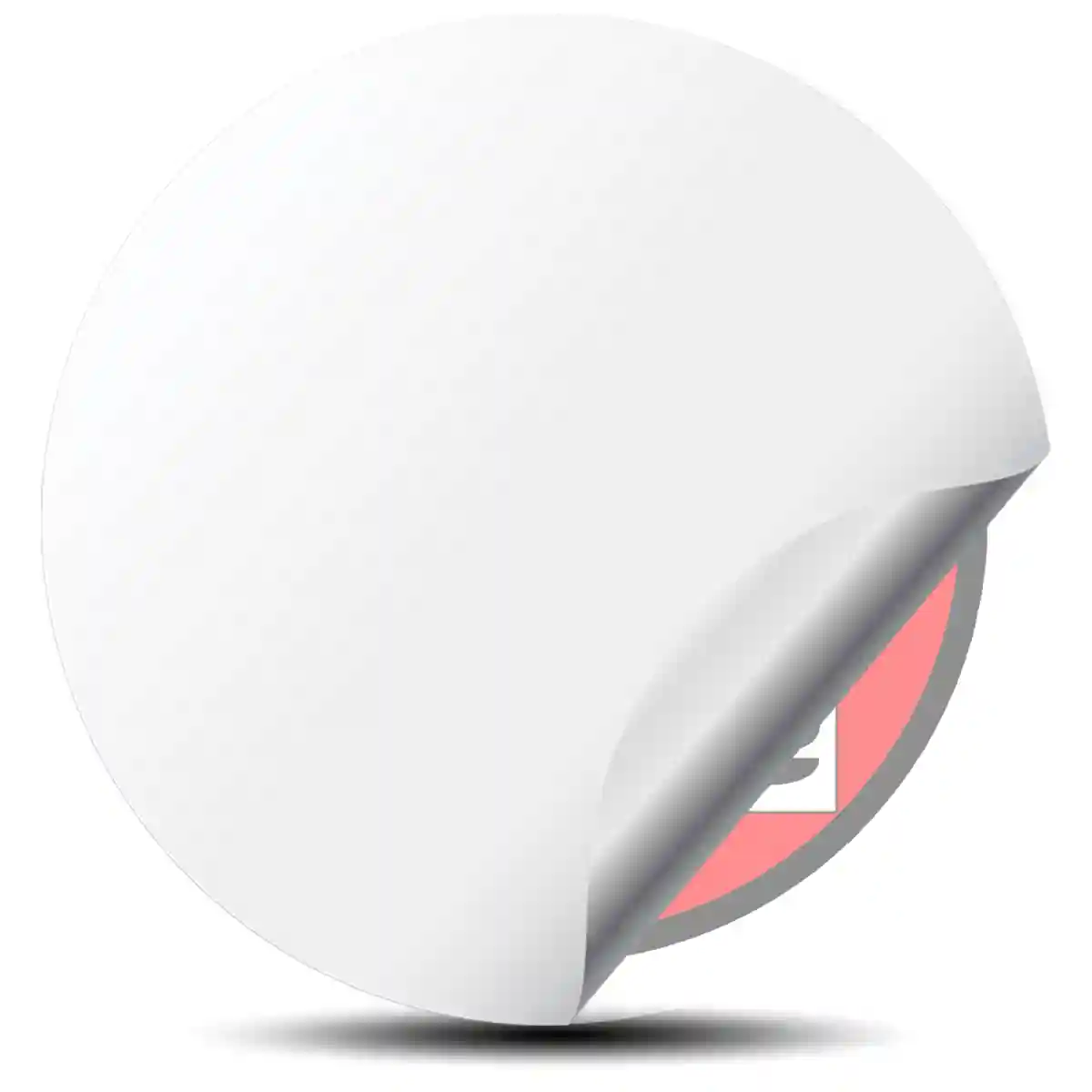 Suzuki Domed Sticker Signature Grade