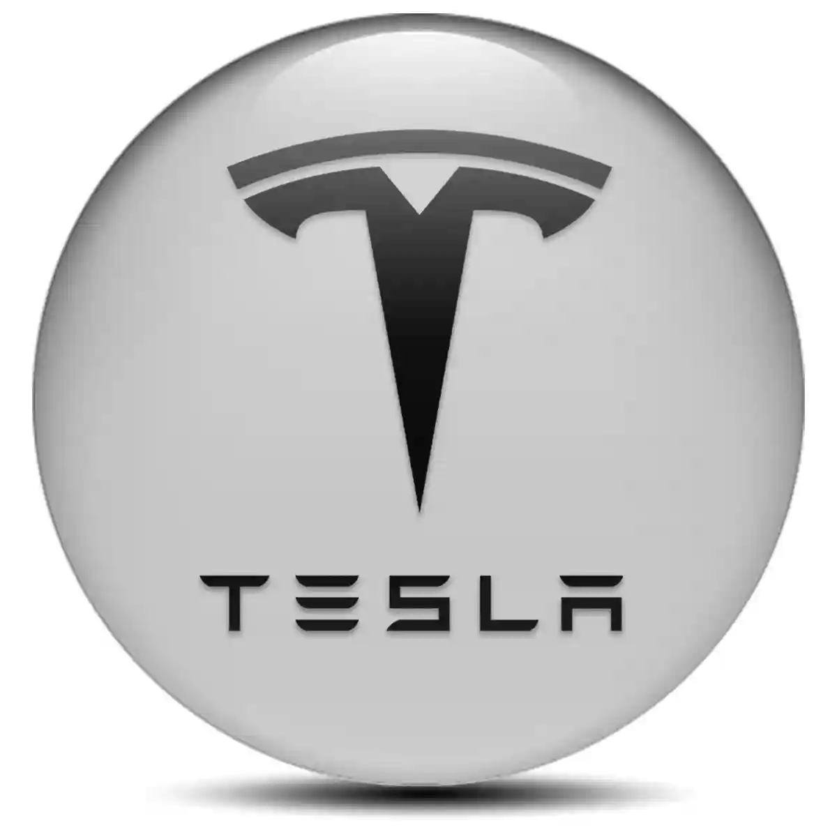 Tesla Badge Emblems Center Cap Sleek Style