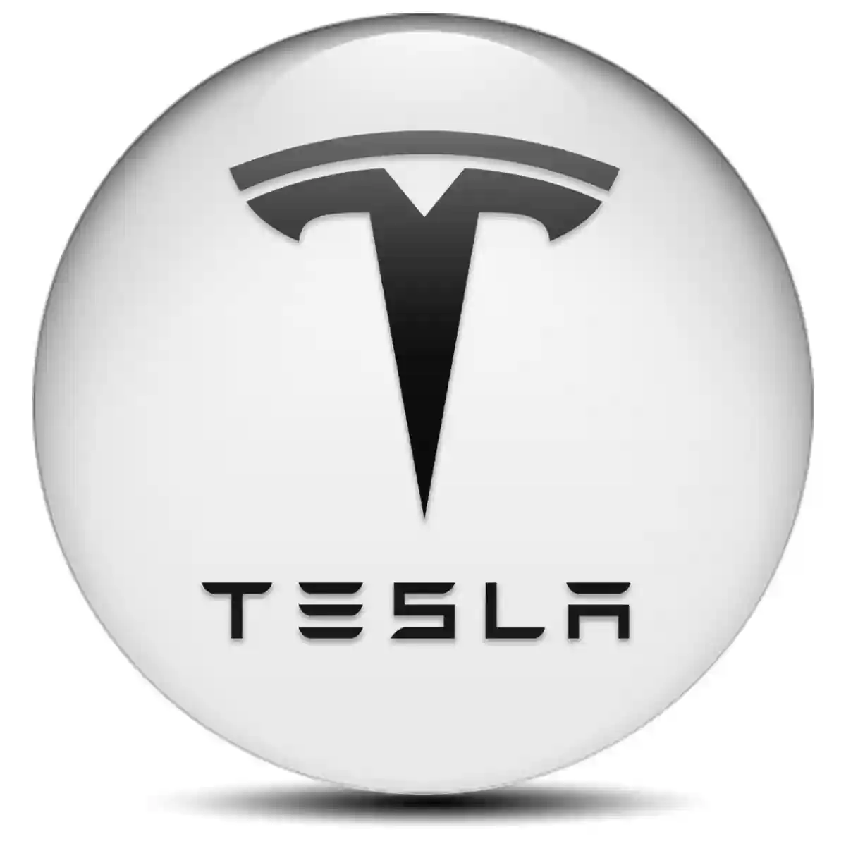 Tesla Domed Emblem Refined Design
