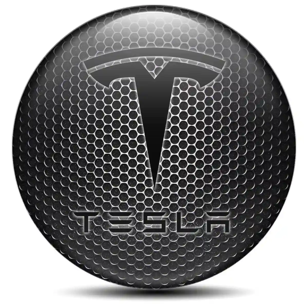 Tesla Domed Sticker Elite Finish