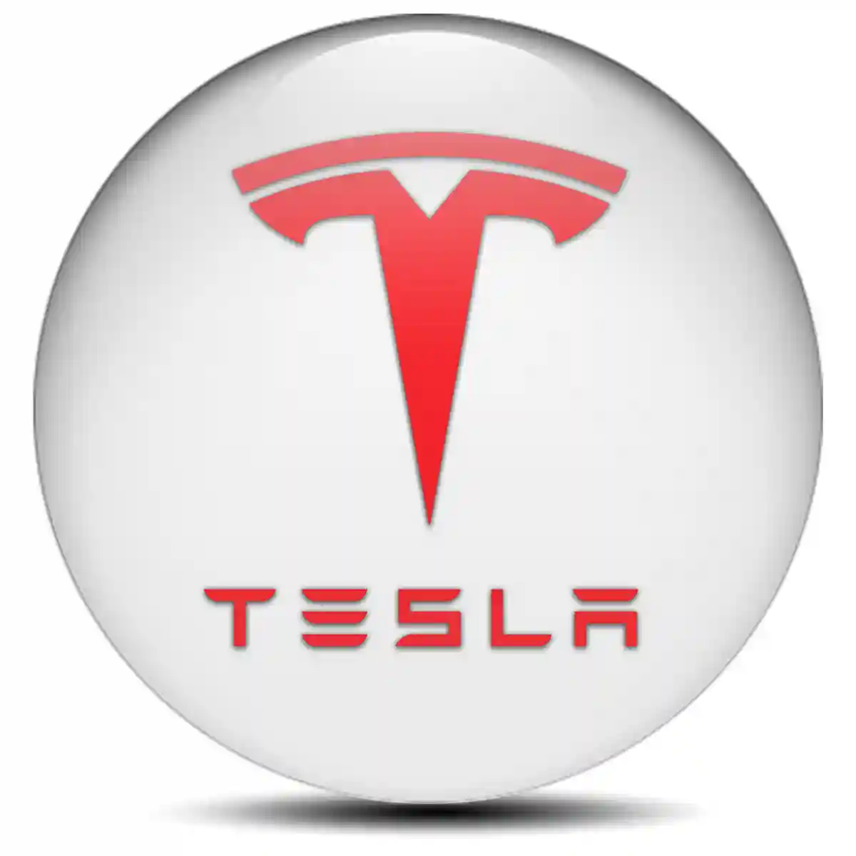 Tesla Domed Sticker Self-Adhesive Sleek Style