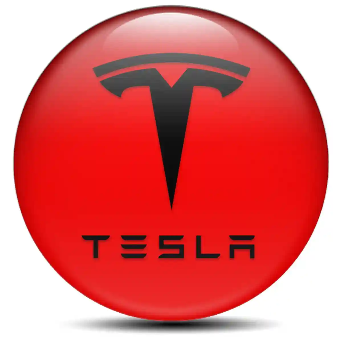 Tesla Emblem Badge Refined Design
