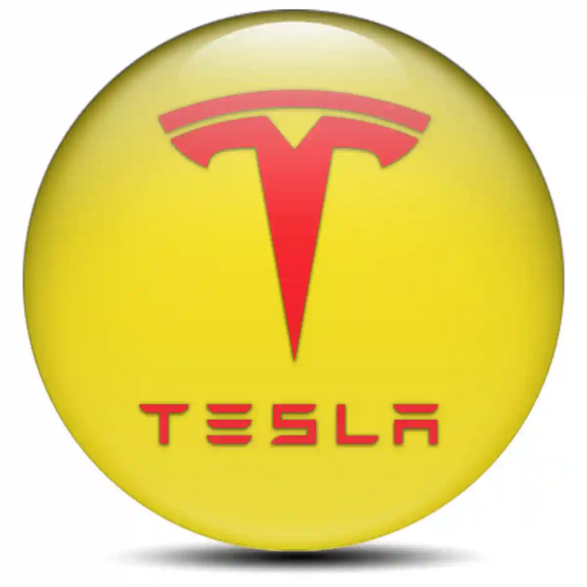 Tesla Logo Silicone Badge Sleek Style