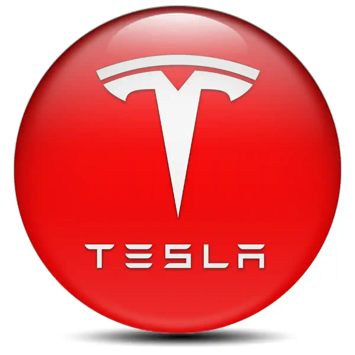 Tesla Silicone Emblem Self-Adhesive Sleek Style