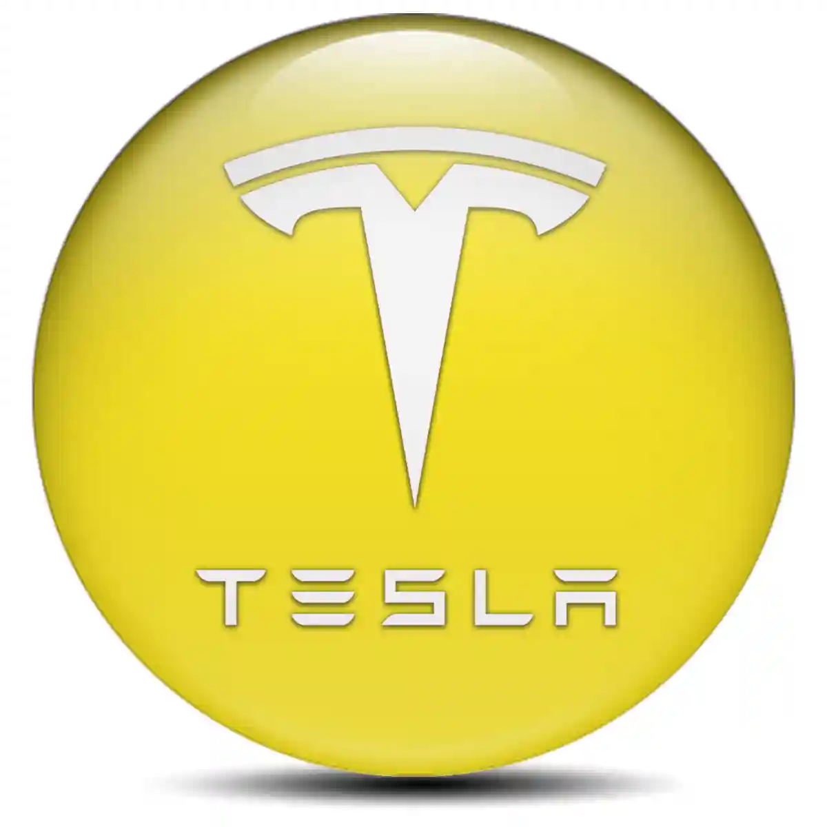 Tesla Silicone Sticker Self-Adhesive Elite Finish