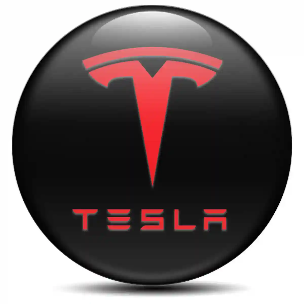 Tesla Silicone Sticker Sleek Style