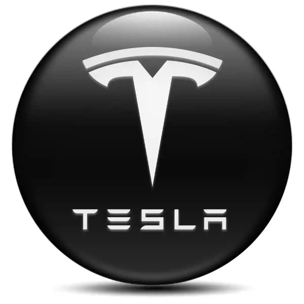 Tesla Sticker Epoxy 3D Gel Sleek Style