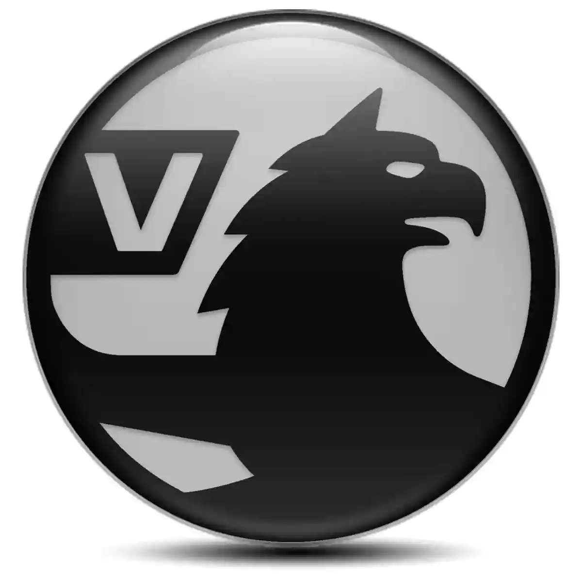 Vauxhall Emblem Center Hup Cap Sleek Style