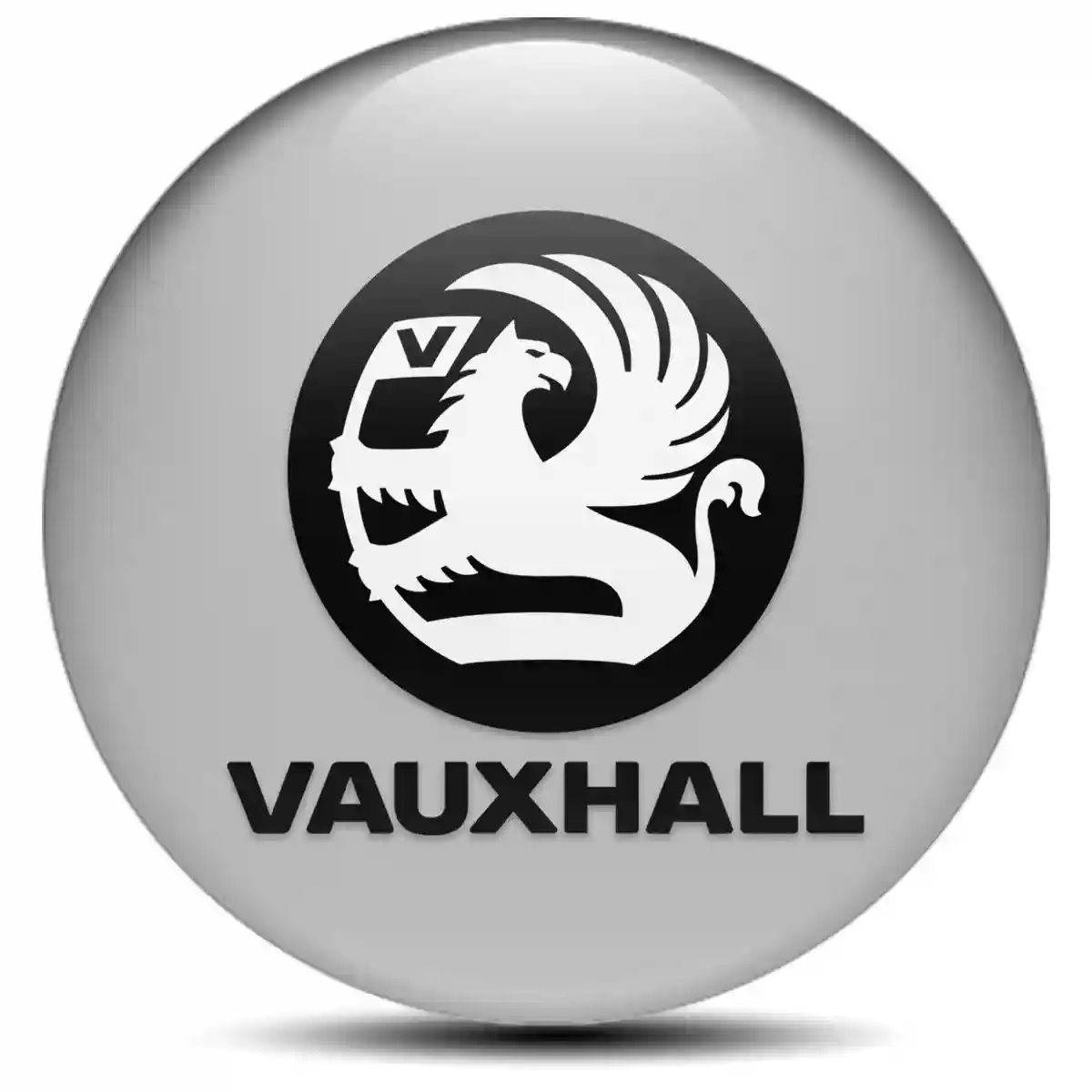 Vauxhall Silicone Emblem Self-Adhesive Elite Finish